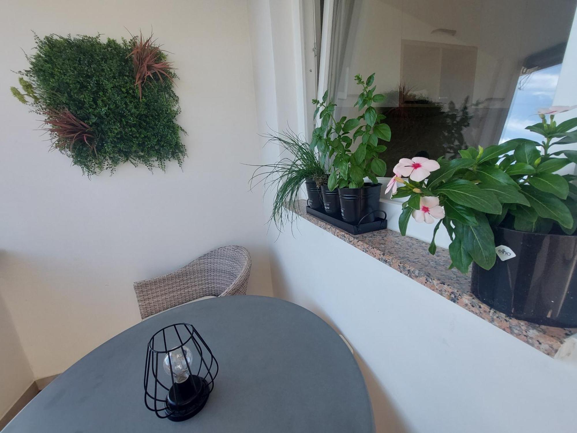 Petra Rooms And Apartments Palit ห้อง รูปภาพ